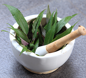 diploma-in-ayurveda-pharmacy-and-medicine-preparation