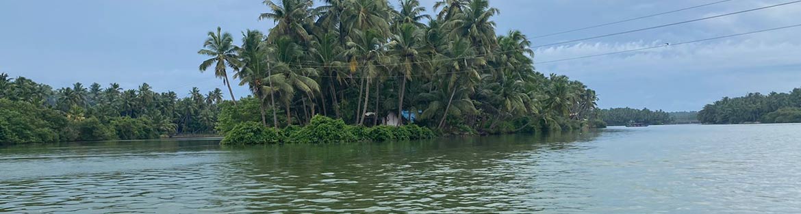 SASH - health tourism